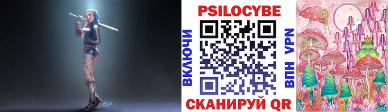 наркота mega Галлюциногенные грибы прущие грибы Бердск